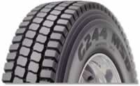 G244 MSD
